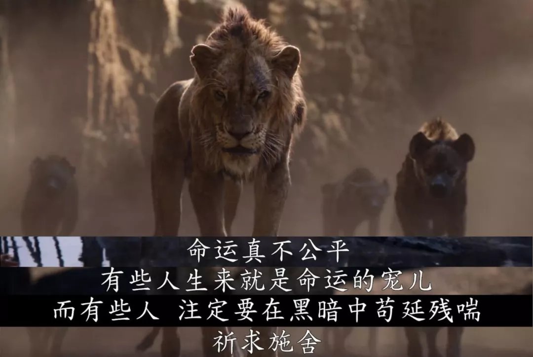 南大王的统治还能持续多久？