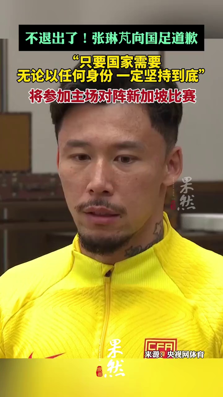 张琳芃宣布退出国家队？赛后言论引热议的简单介绍